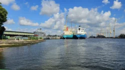 Sembawang Park Svg+xml,%3Csvg%20xmlns%3D%22http%3A%2F%2Fwww.w3