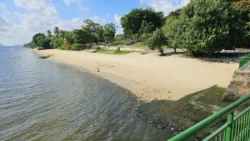 Sembawang Park Svg+xml,%3Csvg%20xmlns%3D%22http%3A%2F%2Fwww.w3