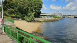 Sembawang Park Svg+xml,%3Csvg%20xmlns%3D%22http%3A%2F%2Fwww.w3