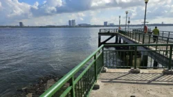 Sembawang Park Svg+xml,%3Csvg%20xmlns%3D%22http%3A%2F%2Fwww.w3