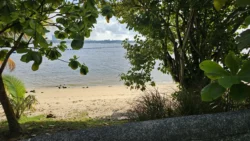 Sembawang Park Svg+xml,%3Csvg%20xmlns%3D%22http%3A%2F%2Fwww.w3