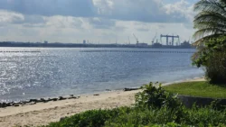 Sembawang Park Svg+xml,%3Csvg%20xmlns%3D%22http%3A%2F%2Fwww.w3