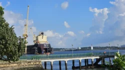 Sembawang Park Svg+xml,%3Csvg%20xmlns%3D%22http%3A%2F%2Fwww.w3