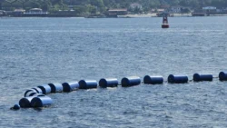 Sembawang Park Svg+xml,%3Csvg%20xmlns%3D%22http%3A%2F%2Fwww.w3