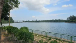 Coney Island Svg+xml,%3Csvg%20xmlns%3D%22http%3A%2F%2Fwww.w3