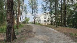 Coney Island Svg+xml,%3Csvg%20xmlns%3D%22http%3A%2F%2Fwww.w3