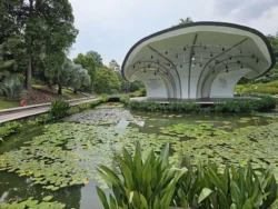 Singapore Botanic Gardens Svg+xml,%3Csvg%20xmlns%3D%22http%3A%2F%2Fwww.w3