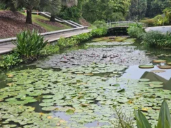 Singapore Botanic Gardens Svg+xml,%3Csvg%20xmlns%3D%22http%3A%2F%2Fwww.w3