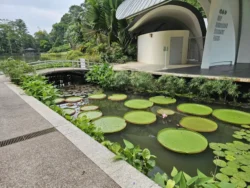 Singapore Botanic Gardens Svg+xml,%3Csvg%20xmlns%3D%22http%3A%2F%2Fwww.w3