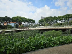 Admiralty Park Svg+xml,%3Csvg%20xmlns%3D%22http%3A%2F%2Fwww.w3