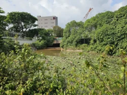 Admiralty Park Svg+xml,%3Csvg%20xmlns%3D%22http%3A%2F%2Fwww.w3