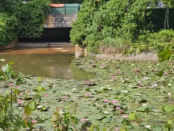 Admiralty Park Svg+xml,%3Csvg%20xmlns%3D%22http%3A%2F%2Fwww.w3