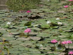 Admiralty Park Svg+xml,%3Csvg%20xmlns%3D%22http%3A%2F%2Fwww.w3