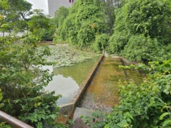 Admiralty Park Svg+xml,%3Csvg%20xmlns%3D%22http%3A%2F%2Fwww.w3