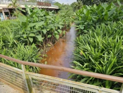 Admiralty Park Svg+xml,%3Csvg%20xmlns%3D%22http%3A%2F%2Fwww.w3