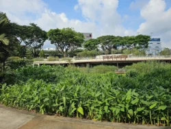 Admiralty Park Svg+xml,%3Csvg%20xmlns%3D%22http%3A%2F%2Fwww.w3