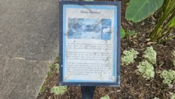 HortPark Svg+xml,%3Csvg%20xmlns%3D%22http%3A%2F%2Fwww.w3