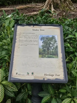 Singapore Botanic Gardens Svg+xml,%3Csvg%20xmlns%3D%22http%3A%2F%2Fwww.w3