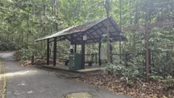 Bukit Timah Nature Reserve Svg+xml,%3Csvg%20xmlns%3D%22http%3A%2F%2Fwww.w3