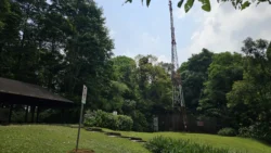 Bukit Timah Nature Reserve Svg+xml,%3Csvg%20xmlns%3D%22http%3A%2F%2Fwww.w3