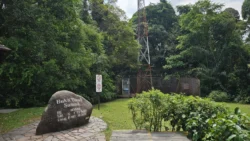 Bukit Timah Nature Reserve Svg+xml,%3Csvg%20xmlns%3D%22http%3A%2F%2Fwww.w3