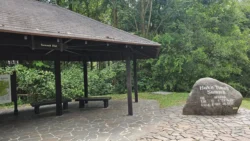 Bukit Timah Nature Reserve Svg+xml,%3Csvg%20xmlns%3D%22http%3A%2F%2Fwww.w3