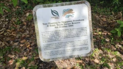 Bukit Timah Nature Reserve Svg+xml,%3Csvg%20xmlns%3D%22http%3A%2F%2Fwww.w3