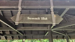 Bukit Timah Nature Reserve Svg+xml,%3Csvg%20xmlns%3D%22http%3A%2F%2Fwww.w3