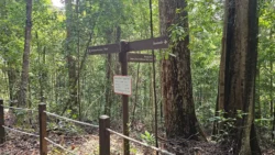 Bukit Timah Nature Reserve Svg+xml,%3Csvg%20xmlns%3D%22http%3A%2F%2Fwww.w3