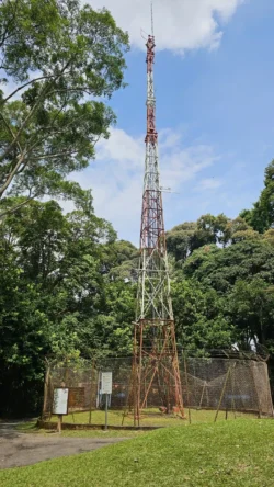 Bukit Timah Nature Reserve Svg+xml,%3Csvg%20xmlns%3D%22http%3A%2F%2Fwww.w3