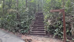 Bukit Timah Nature Reserve Svg+xml,%3Csvg%20xmlns%3D%22http%3A%2F%2Fwww.w3