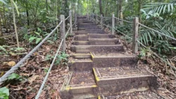 Bukit Timah Nature Reserve Svg+xml,%3Csvg%20xmlns%3D%22http%3A%2F%2Fwww.w3