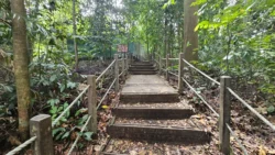 Bukit Timah Nature Reserve Svg+xml,%3Csvg%20xmlns%3D%22http%3A%2F%2Fwww.w3