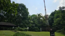 Bukit Timah Nature Reserve Svg+xml,%3Csvg%20xmlns%3D%22http%3A%2F%2Fwww.w3