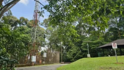 Bukit Timah Nature Reserve Svg+xml,%3Csvg%20xmlns%3D%22http%3A%2F%2Fwww.w3