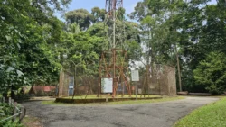 Bukit Timah Nature Reserve Svg+xml,%3Csvg%20xmlns%3D%22http%3A%2F%2Fwww.w3