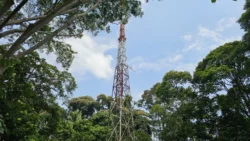 Bukit Timah Nature Reserve Svg+xml,%3Csvg%20xmlns%3D%22http%3A%2F%2Fwww.w3