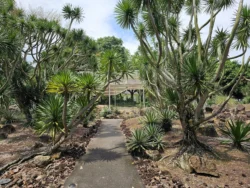 Singapore Botanic Gardens Svg+xml,%3Csvg%20xmlns%3D%22http%3A%2F%2Fwww.w3