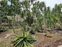 Singapore Botanic Gardens Svg+xml,%3Csvg%20xmlns%3D%22http%3A%2F%2Fwww.w3