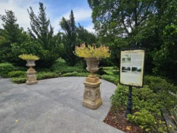 Singapore Botanic Gardens Svg+xml,%3Csvg%20xmlns%3D%22http%3A%2F%2Fwww.w3