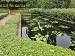 Singapore Botanic Gardens Svg+xml,%3Csvg%20xmlns%3D%22http%3A%2F%2Fwww.w3