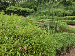 Singapore Botanic Gardens Svg+xml,%3Csvg%20xmlns%3D%22http%3A%2F%2Fwww.w3