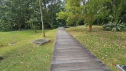 West Coast Park Svg+xml,%3Csvg%20xmlns%3D%22http%3A%2F%2Fwww.w3