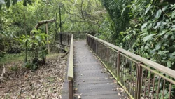 West Coast Park Svg+xml,%3Csvg%20xmlns%3D%22http%3A%2F%2Fwww.w3