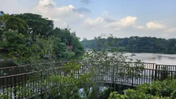 Lor Halus Wetland Svg+xml,%3Csvg%20xmlns%3D%22http%3A%2F%2Fwww.w3