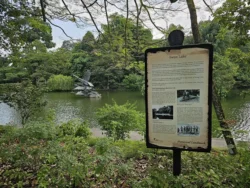 Singapore Botanic Gardens Svg+xml,%3Csvg%20xmlns%3D%22http%3A%2F%2Fwww.w3