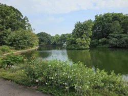 Singapore Botanic Gardens Svg+xml,%3Csvg%20xmlns%3D%22http%3A%2F%2Fwww.w3