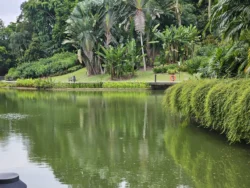 Singapore Botanic Gardens Svg+xml,%3Csvg%20xmlns%3D%22http%3A%2F%2Fwww.w3