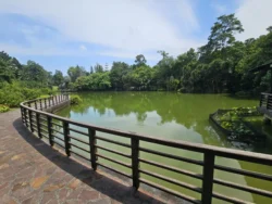 Singapore Botanic Gardens Svg+xml,%3Csvg%20xmlns%3D%22http%3A%2F%2Fwww.w3