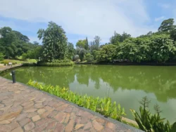 Singapore Botanic Gardens Svg+xml,%3Csvg%20xmlns%3D%22http%3A%2F%2Fwww.w3